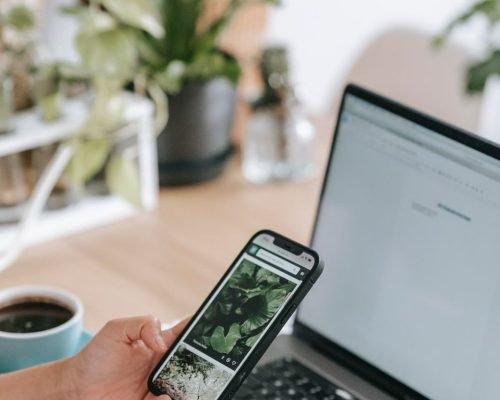 WhatsApp Image 2025-02-13 at 15.43.31